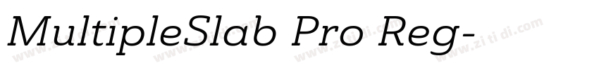 MultipleSlab Pro Reg字体转换